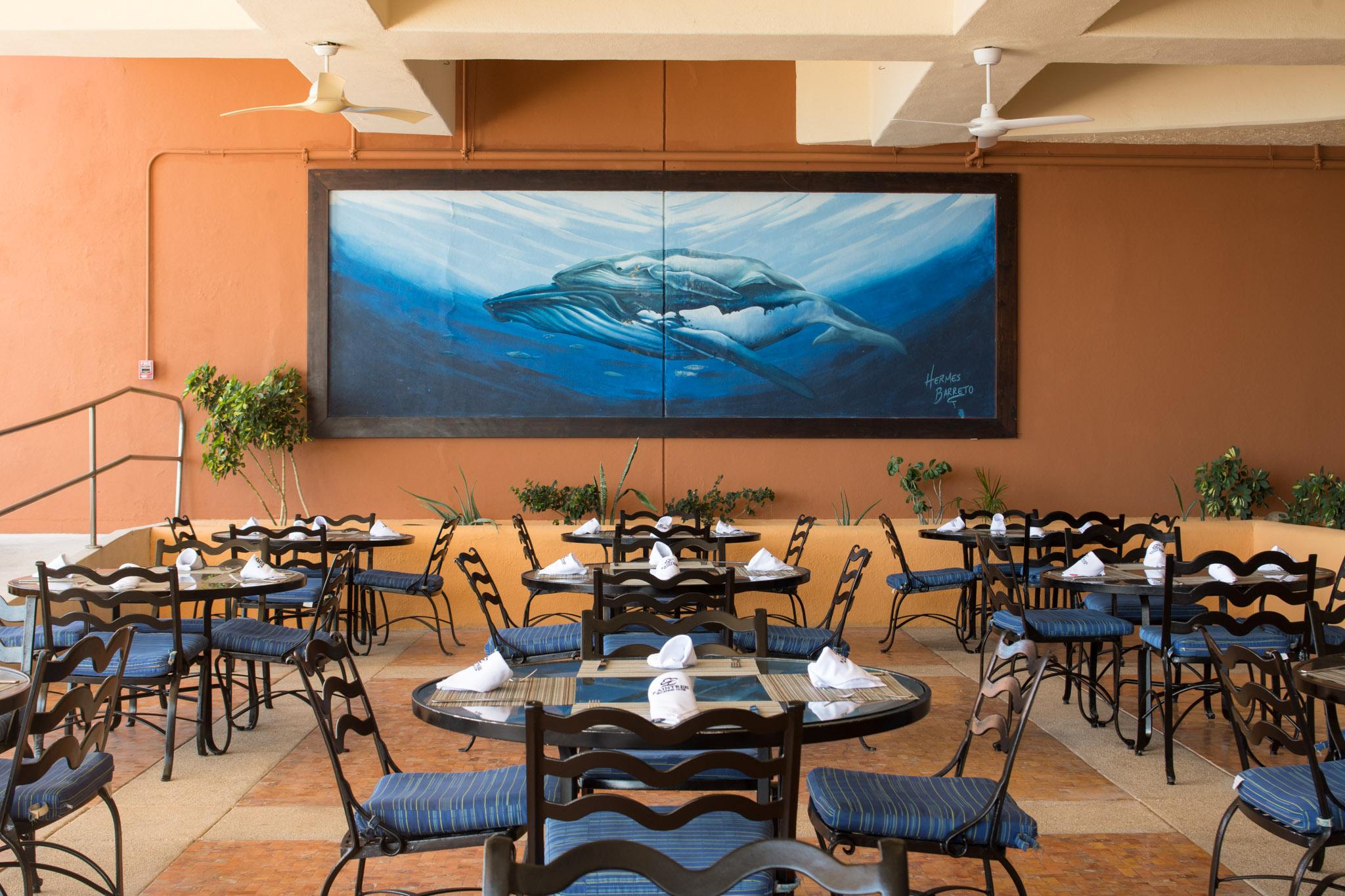 Club Regina Los Cabos San Jose del Cabo Ngoại thất bức ảnh